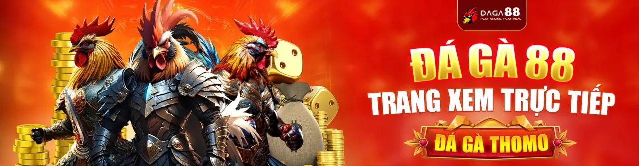 Hình ảnh nền các câu hỏi thường gặp về 33win7 bet