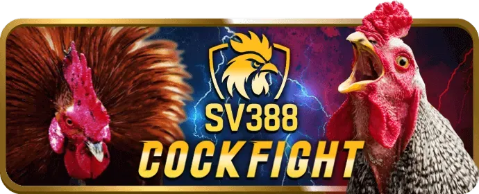 Người chơi không cố gắng gỡ gạc khi thua cờ bạc tại 33win7 bet